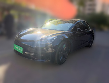 Tesla Model 3 2022 Tesla Model 3 2022 car image