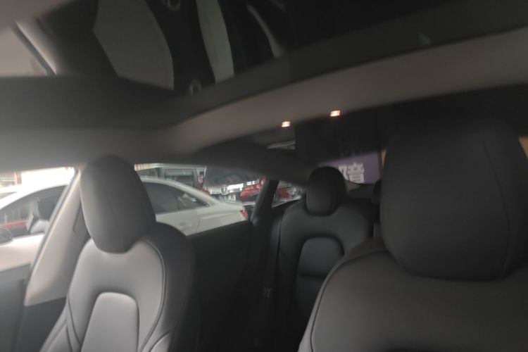 Tesla Model 3 2022 immagine di auto #18