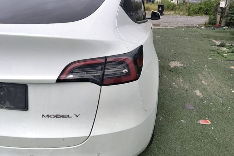 Tesla Model Y 2022 car image #8