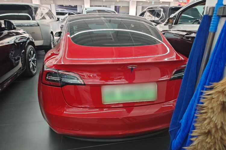 Tesla Model 3 2022 car image #6