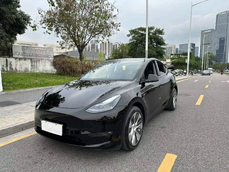 Tesla Model Y 2021 Tesla Model Y 2021 car image