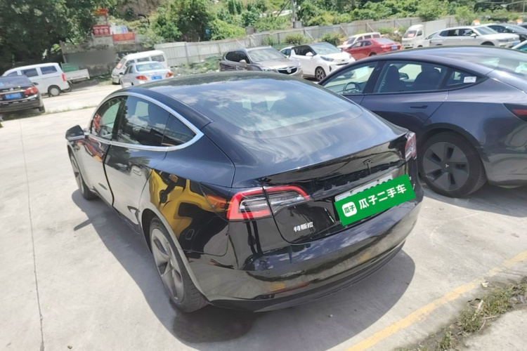 Tesla Model 3 2020 car image #5
