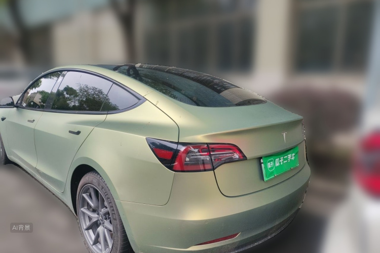 Tesla Model 3 2021 car image #6