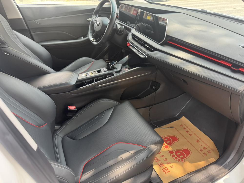 GEELY Binray 2022 immagine di auto #15