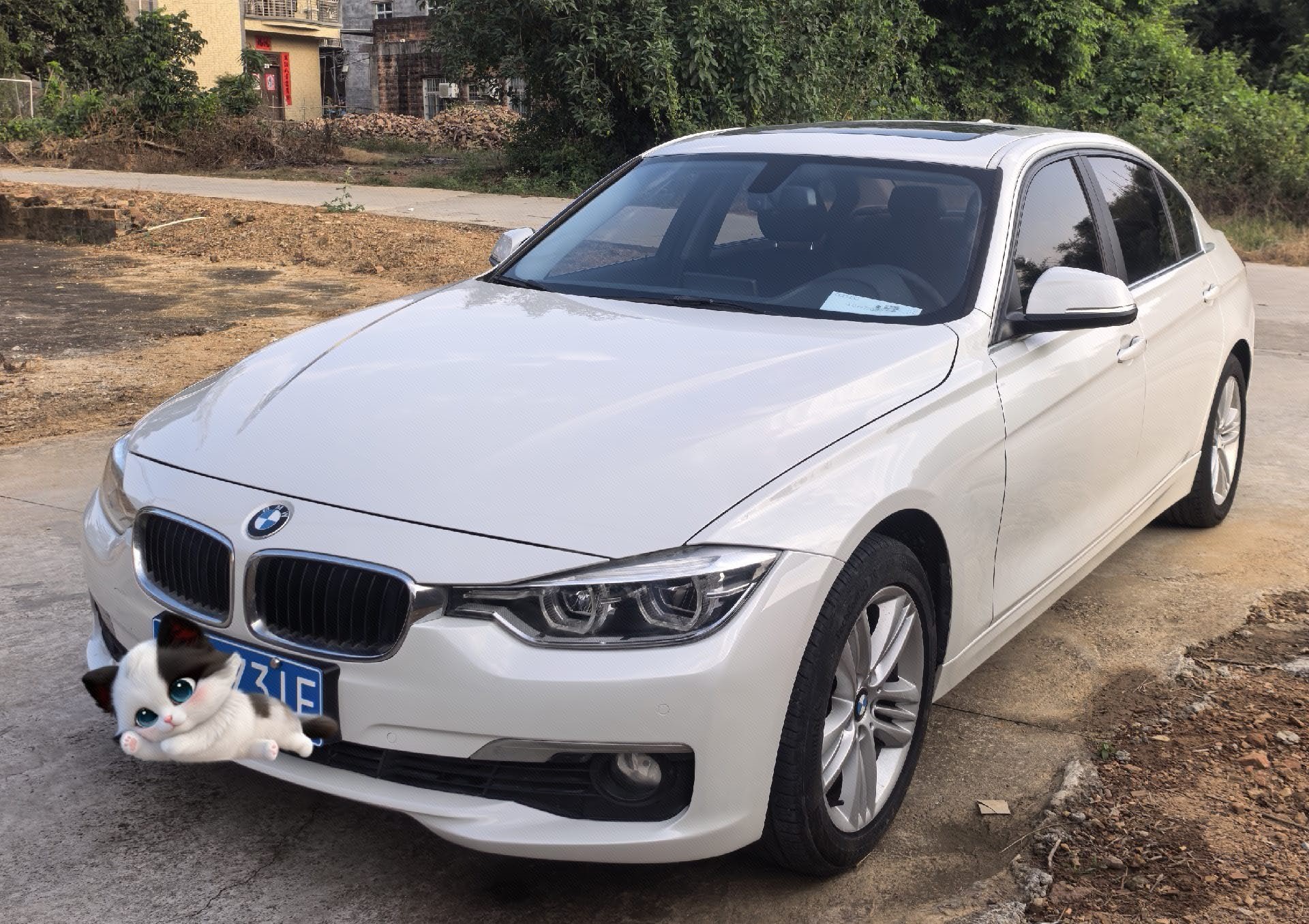BMW 3 Series 2016 BMW 3 Series 2016 immagine di auto