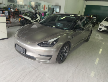 Tesla Model 3 2021 Tesla Model 3 2021 car image