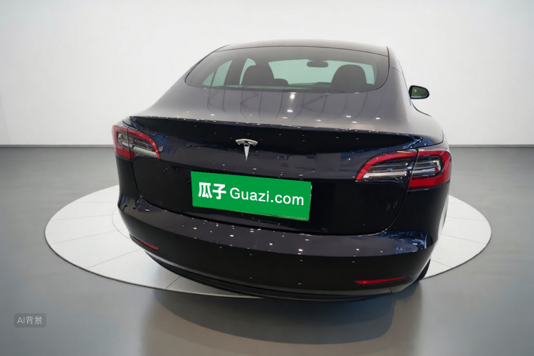Tesla Model 3 2023 car image #6