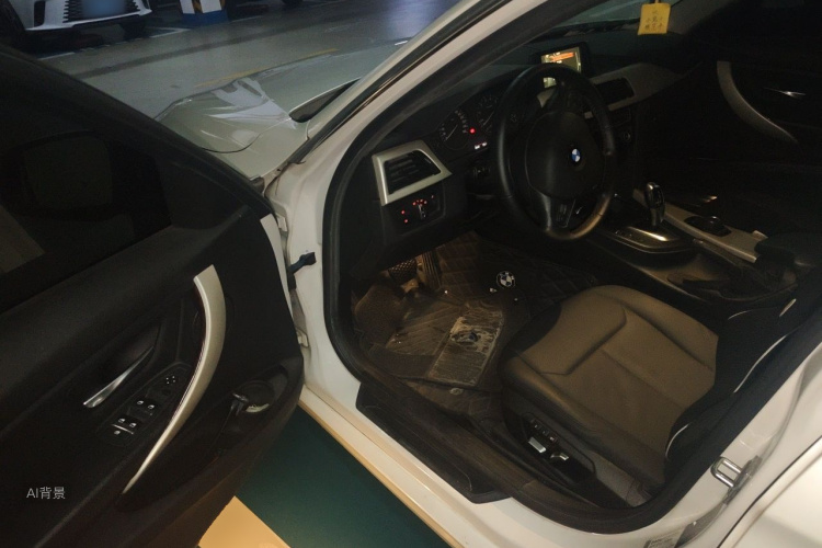 BMW 3 Series 2016 car image #18