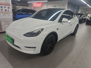 Tesla Model Y 2023 Tesla Model Y 2023 car image