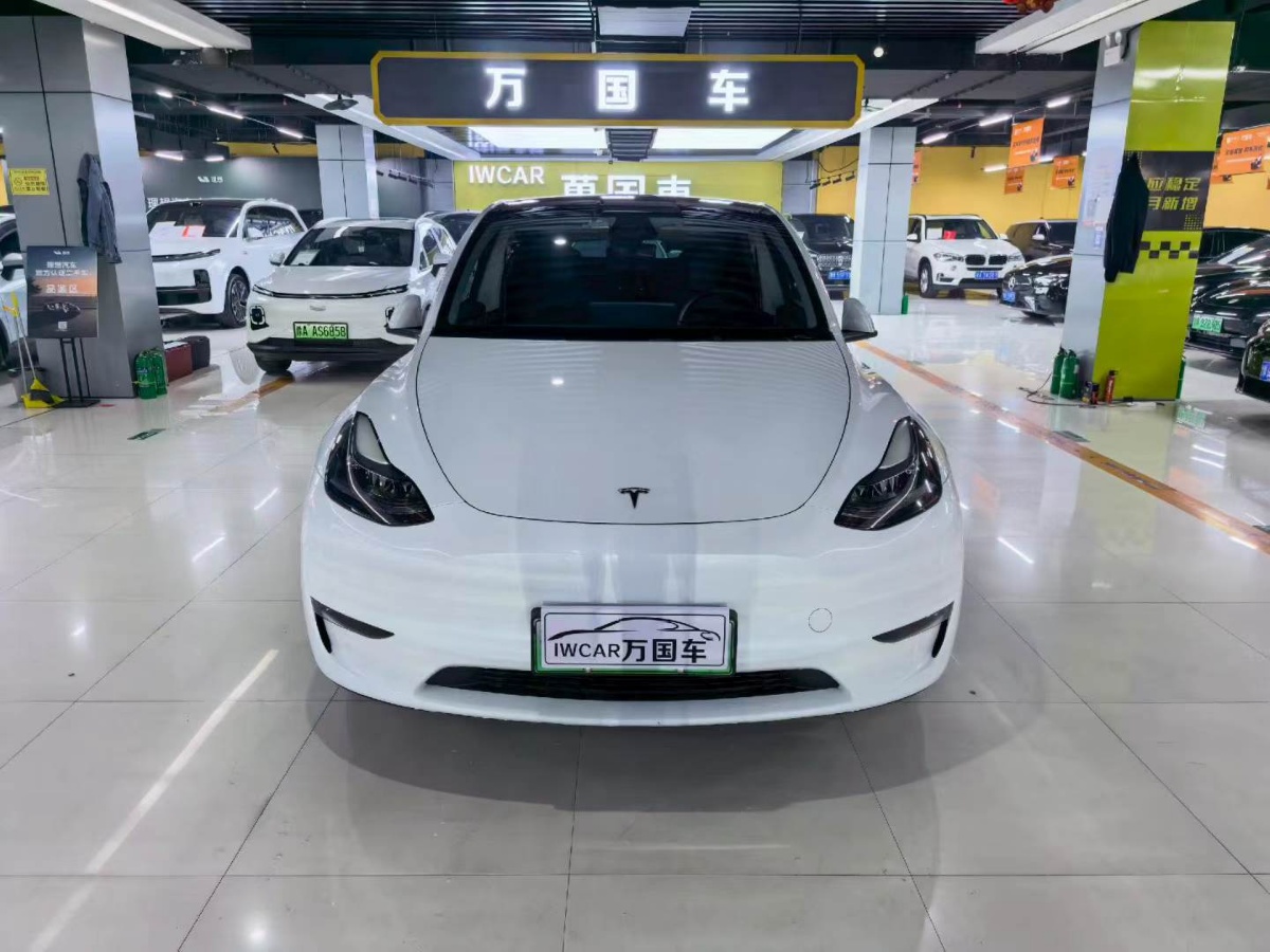 Tesla Model Y 2024 Tesla Model Y 2024 car image
