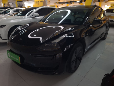Tesla Model 3 2022 Tesla Model 3 2022 car image