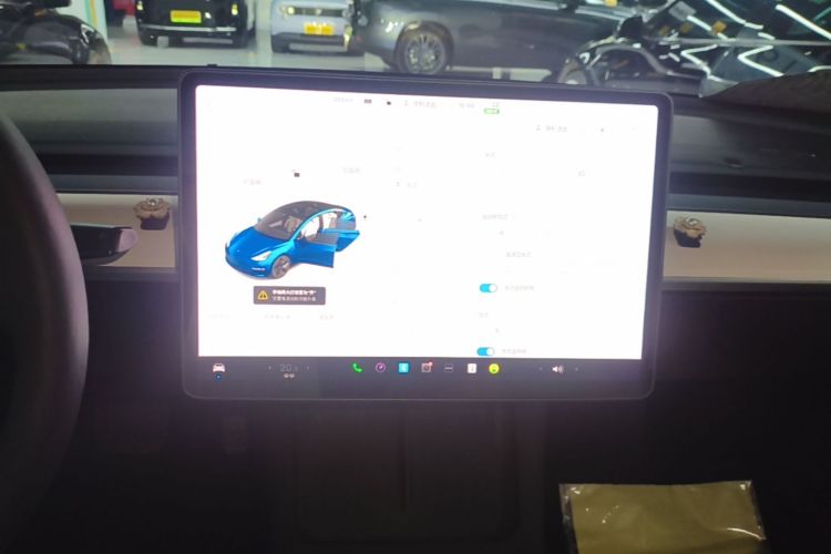 Tesla Model 3 2021 #17 Tesla Model 3 2021 car image #17