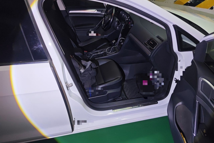 Volkswagen Golf 2020 #21 Volkswagen Golf 2020 car image #21