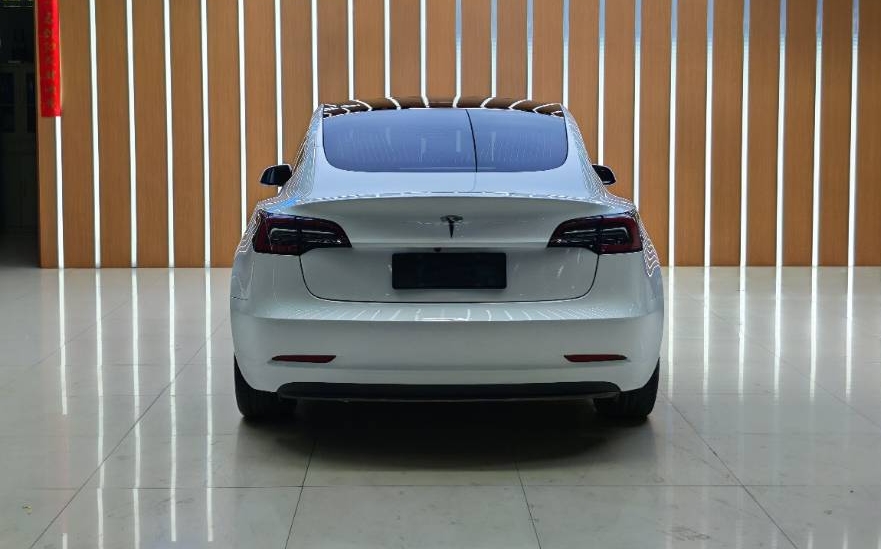 Tesla Model 3 2020 #5 Tesla Model 3 2020 car image #5