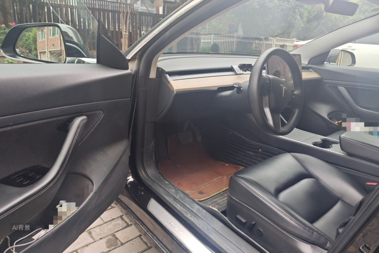 Tesla Model 3 2020 car image #18