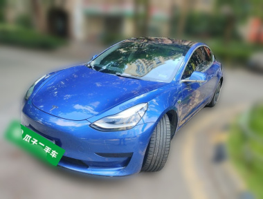 Tesla Model 3 2020 Tesla Model 3 2020 car image