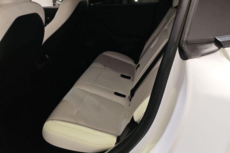 Tesla Model Y 2021 car image #13