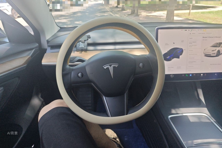 Tesla Model 3 2021 #12 Tesla Model 3 2021 car image #12