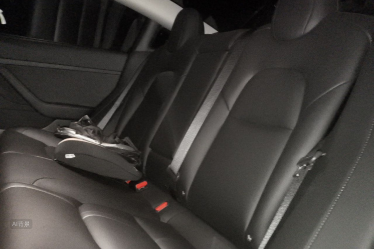Tesla Model 3 2021 #19 Tesla Model 3 2021 car image #19
