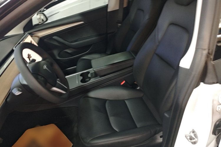 Tesla Model 3 2021 car image #19