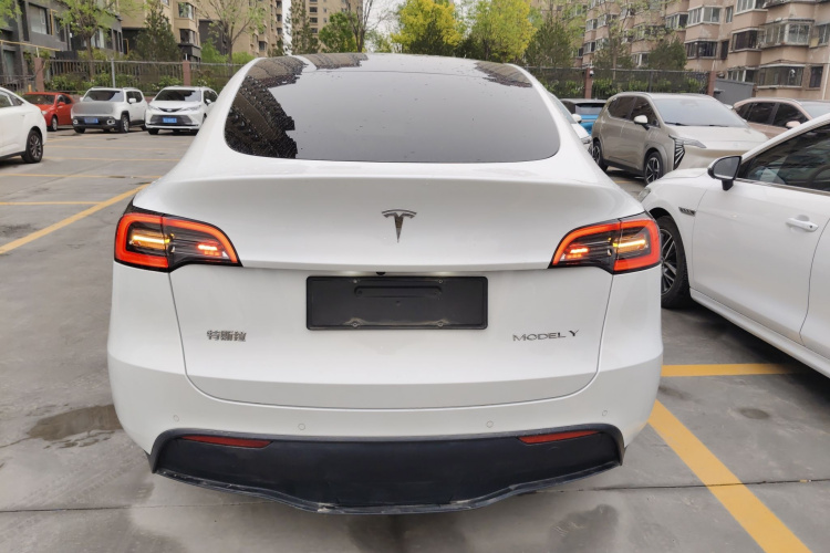Tesla Model Y 2021 car image #6
