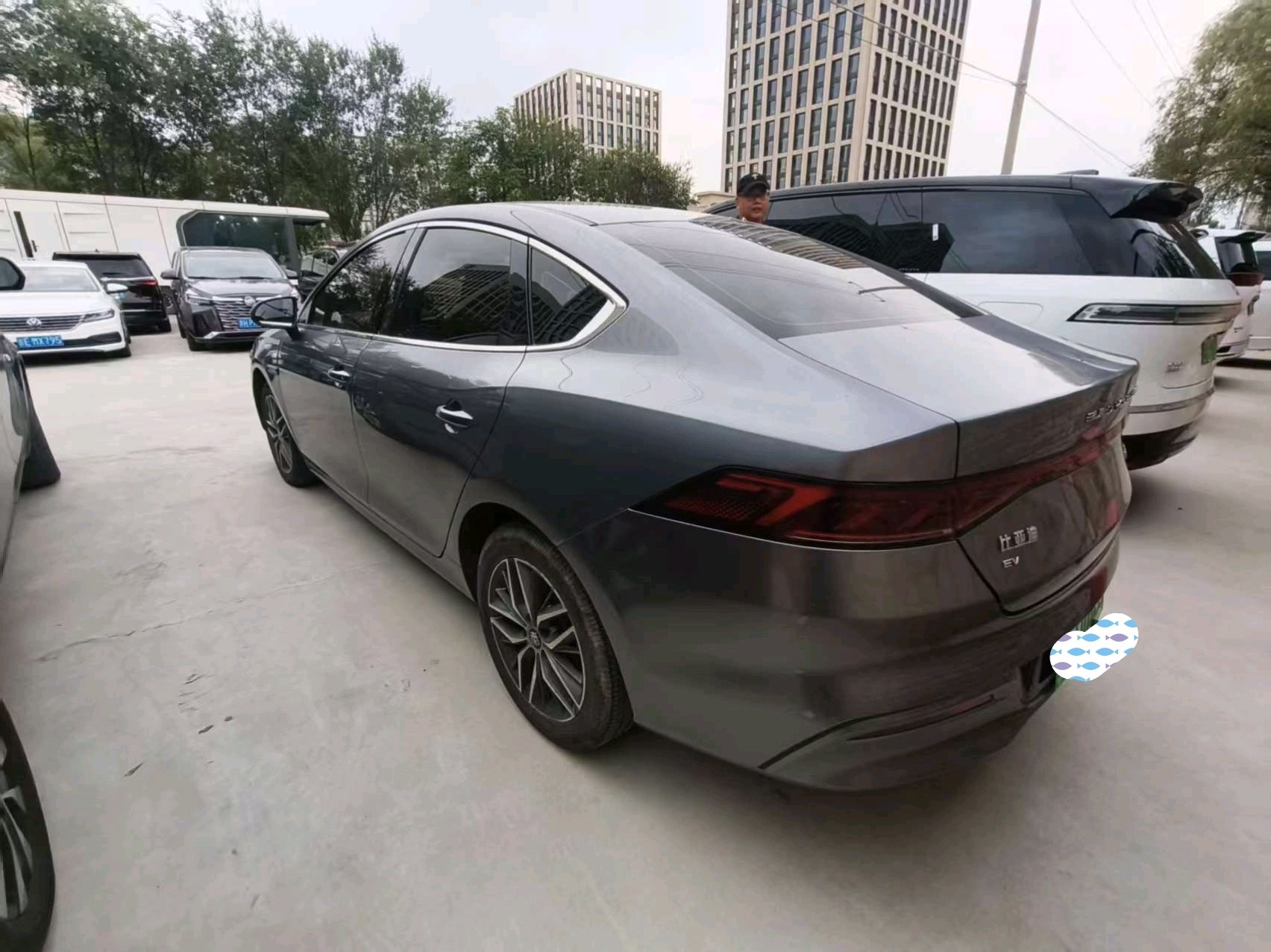 BYD Qin Plus 2023 imagem de carro #4