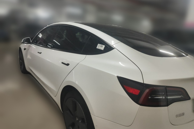 Tesla Model 3 2022 #5 Tesla Model 3 2022 car image #5