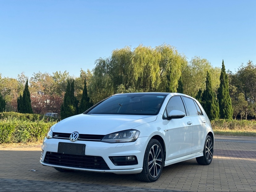 Volkswagen Golf 2016 car image 