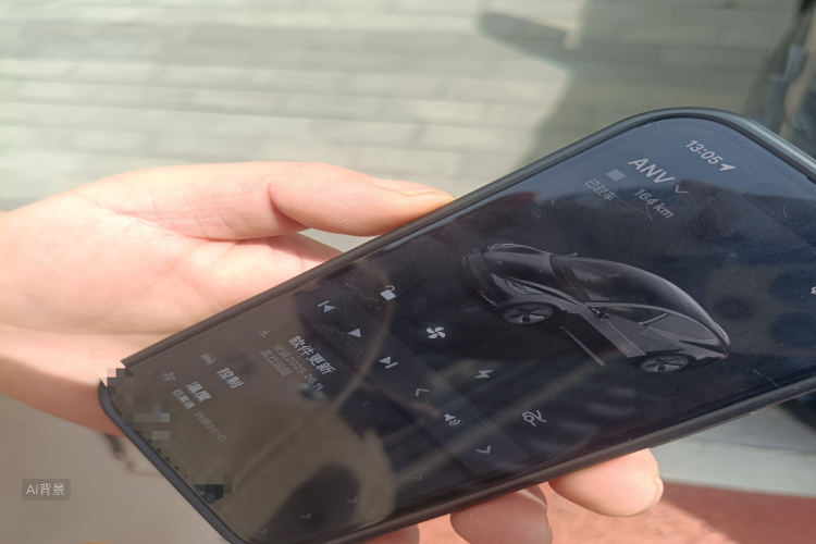 Tesla Model 3 2020 car image #10