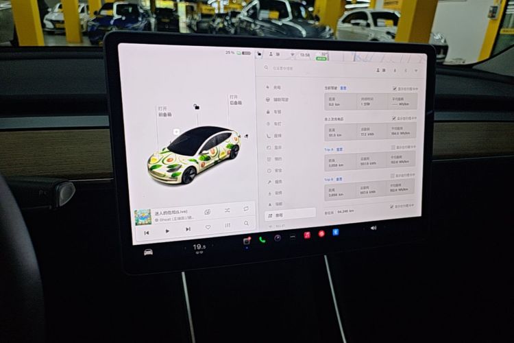 Tesla Model 3 2020 car image #13