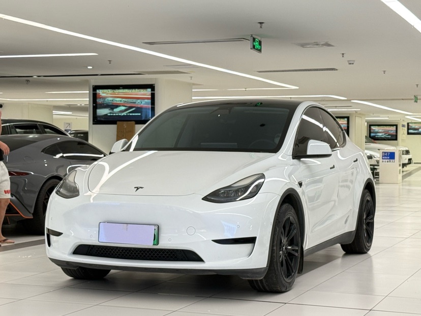 Tesla Model Y 2023 Tesla Model Y 2023 car image