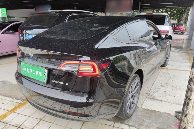 Tesla Model 3 2021 #5 Tesla Model 3 2021 car image #5