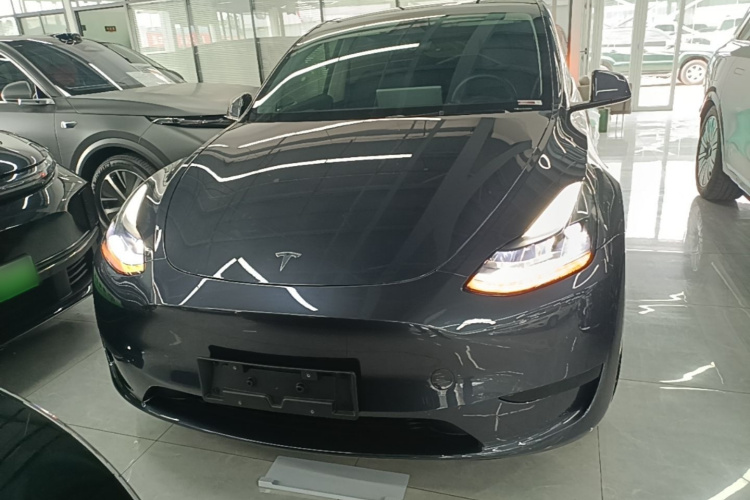 Tesla Model Y 2024 car image #3