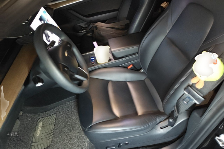 Tesla Model 3 2021 #17 Tesla Model 3 2021 car image #17