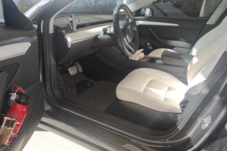 Tesla Model 3 2021 car image #18