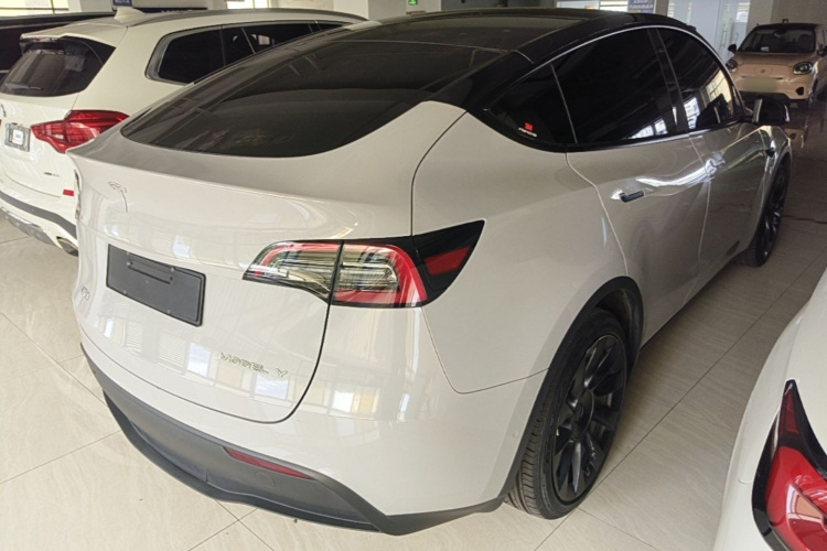 Tesla Model Y 2021 car image #7
