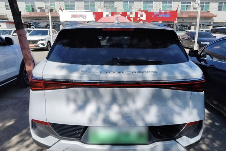 BYD Yuan Plus 2023 car image #6