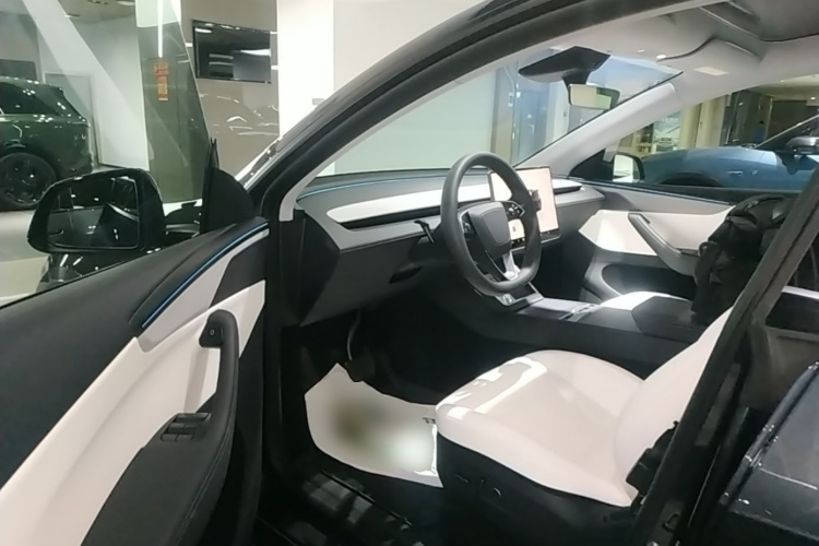Tesla Model Y 2025 #12 Tesla Model Y 2025 car image #12