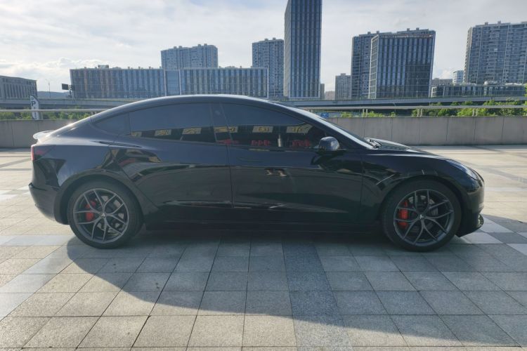 Tesla Model 3 2022 immagine di auto #4