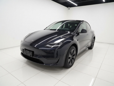 Tesla Model Y 2024 Tesla Model Y 2024 car image