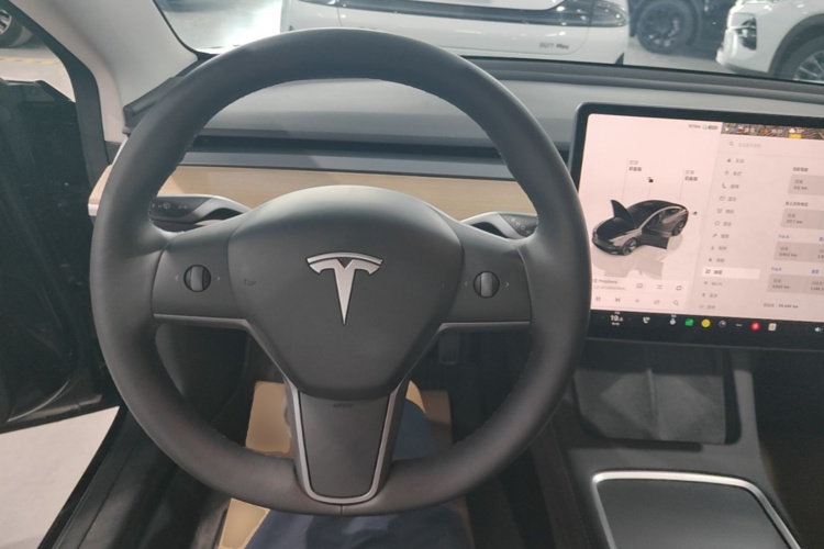 Tesla Model 3 2023 car image #11