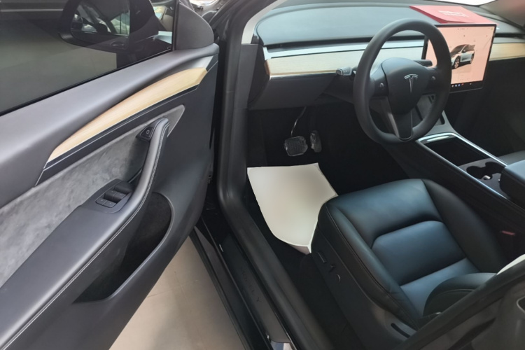 Tesla Model Y 2023 car image #16