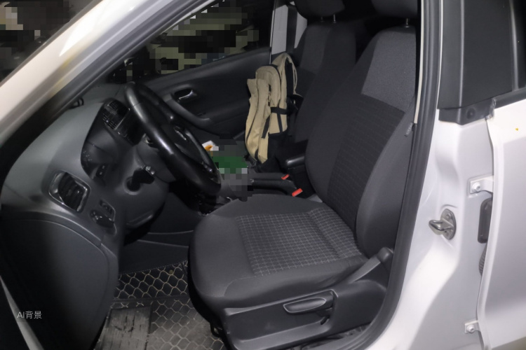 Volkswagen Polo 2017 car image #17
