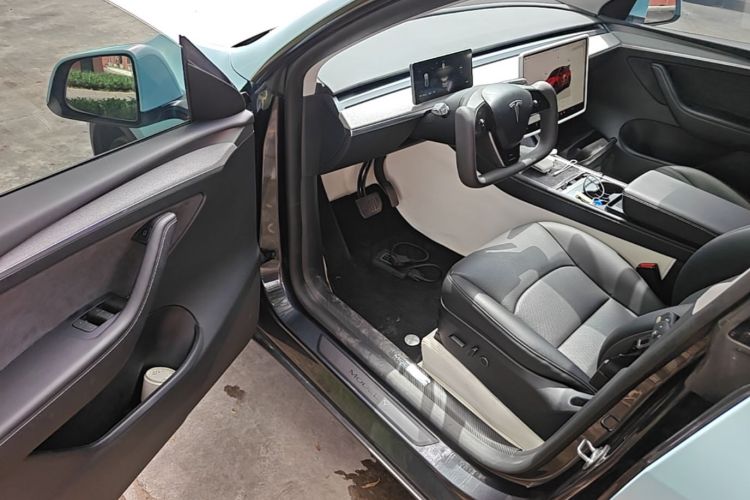 Tesla Model Y 2024 car image #16