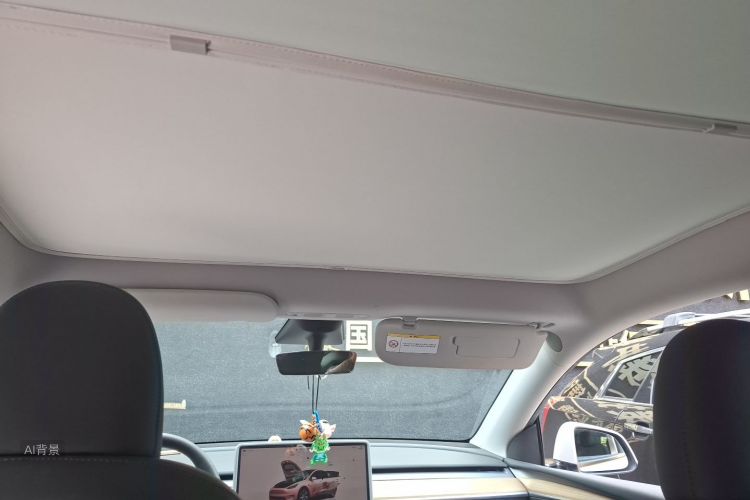 Tesla Model Y 2022 car image #20