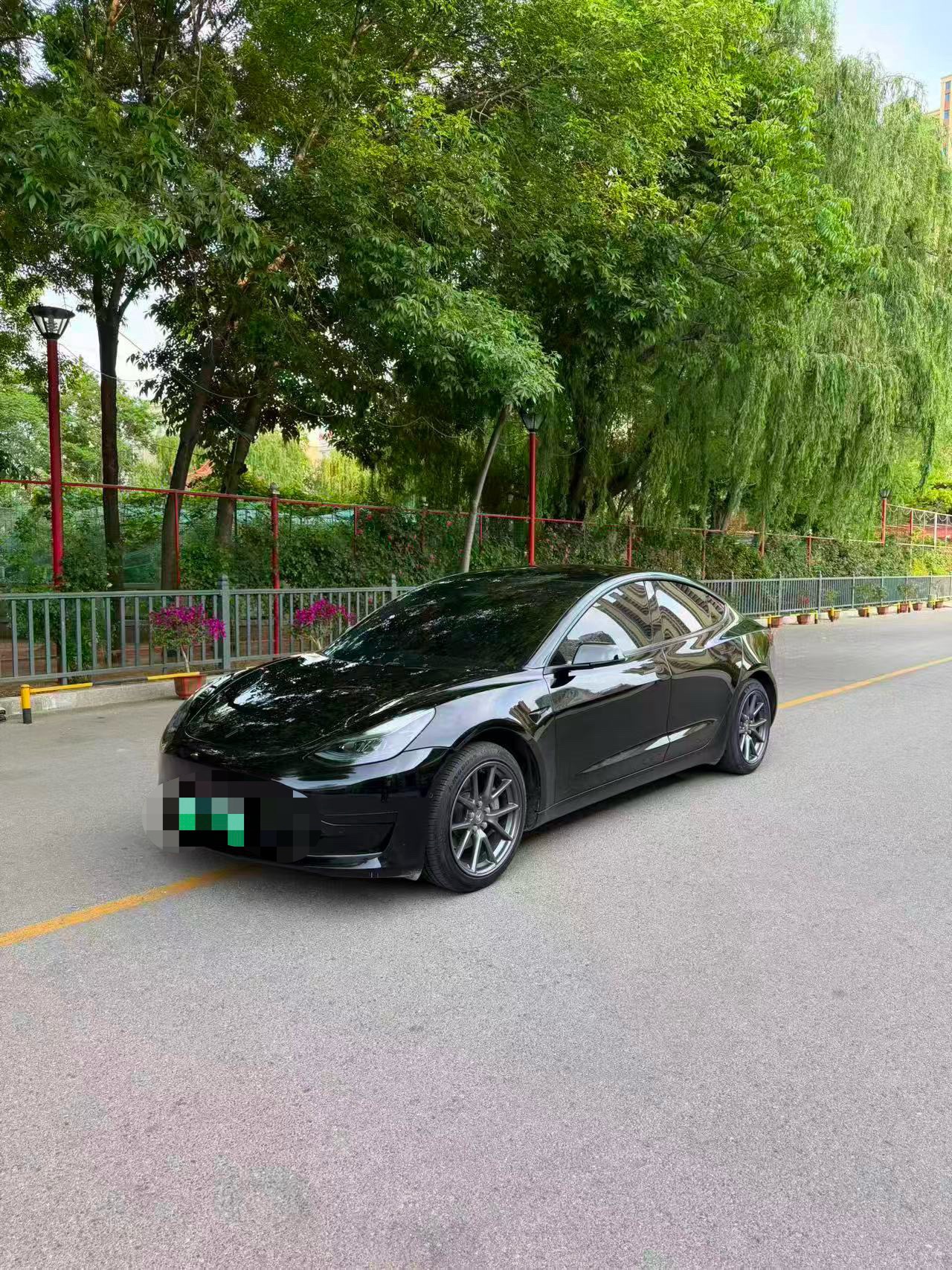 Tesla Model 3 2023 immagine di auto 