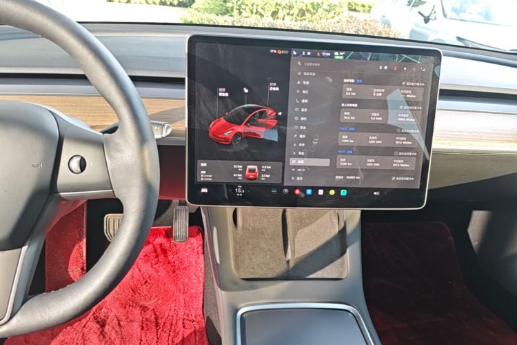 Tesla Model 3 2021 #13 Tesla Model 3 2021 car image #13