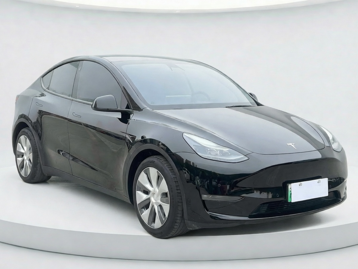Tesla Model Y 2022 car image #2