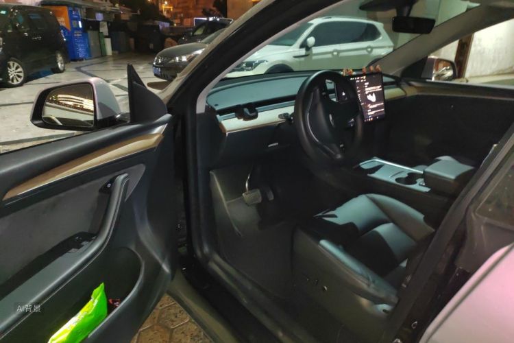 Tesla Model Y 2021 car image #18