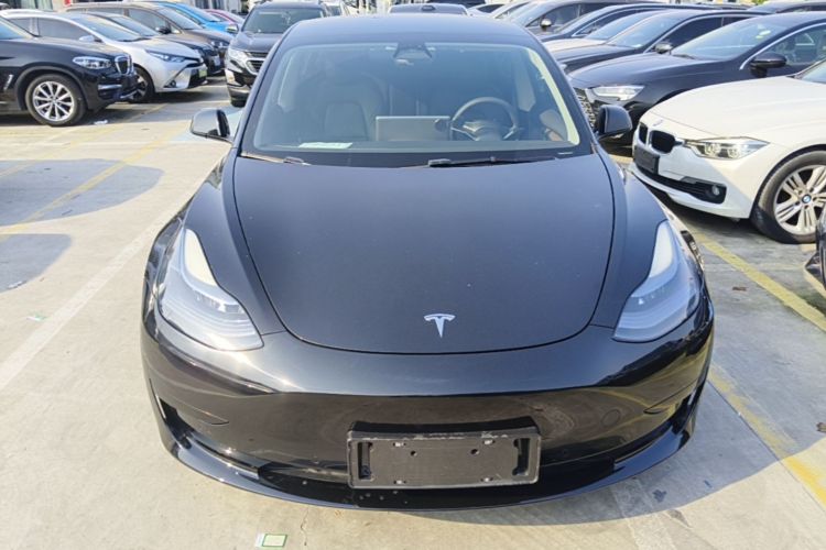 Tesla Model 3 2023 #3 Tesla Model 3 2023 car image #3